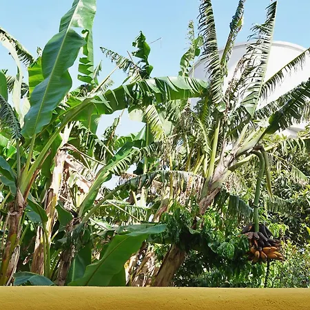 Mbird Lx Yard リスボン