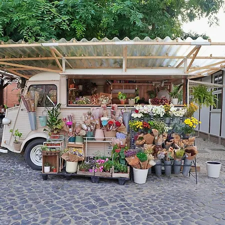 Mbird Lx Yard Διαμέρισμα Lisboa