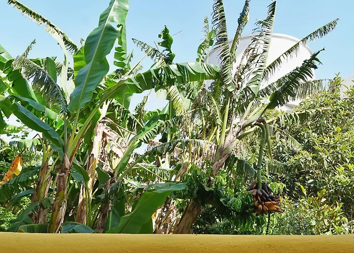 Mbird Lx Yard リスボン