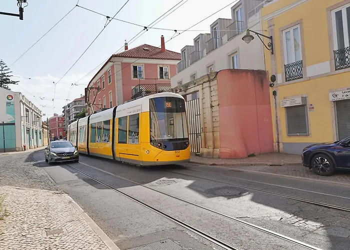 Mbird Lx Yard * リスボン